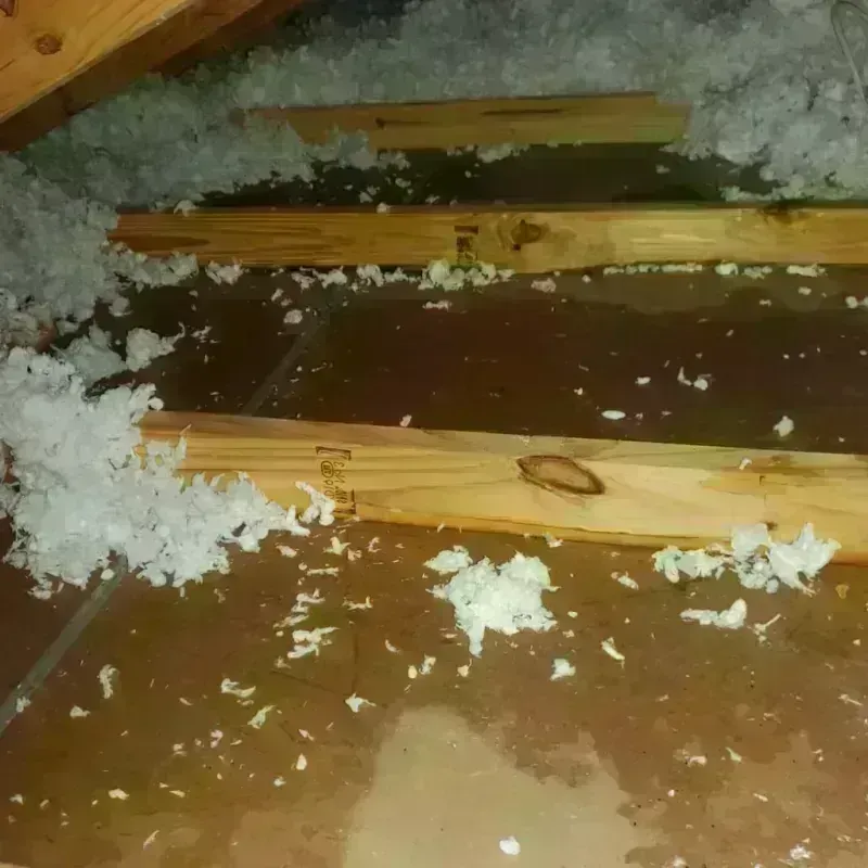 Attic Water Damage in West Milwaukee, WI